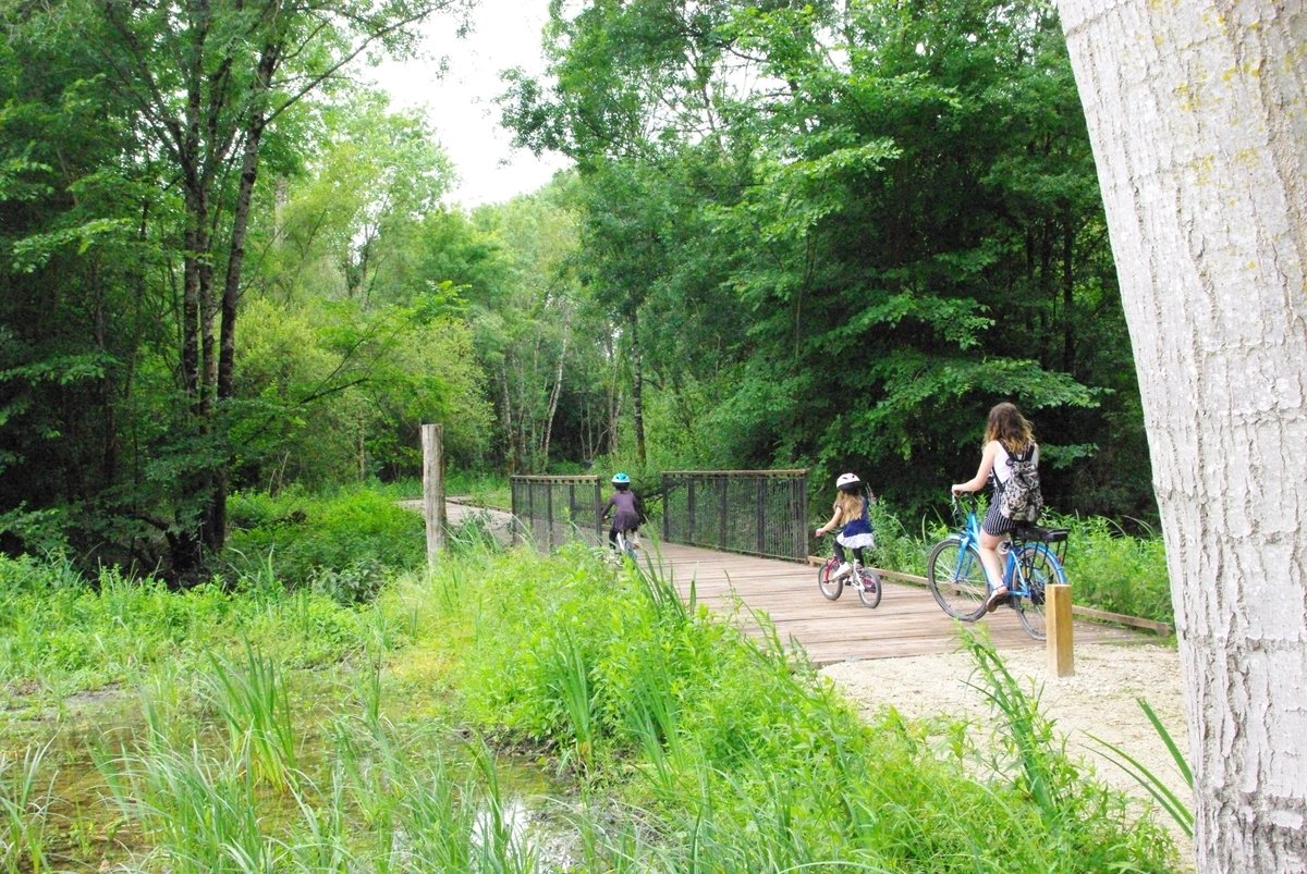 Département de la Charente-Maritime tweet media