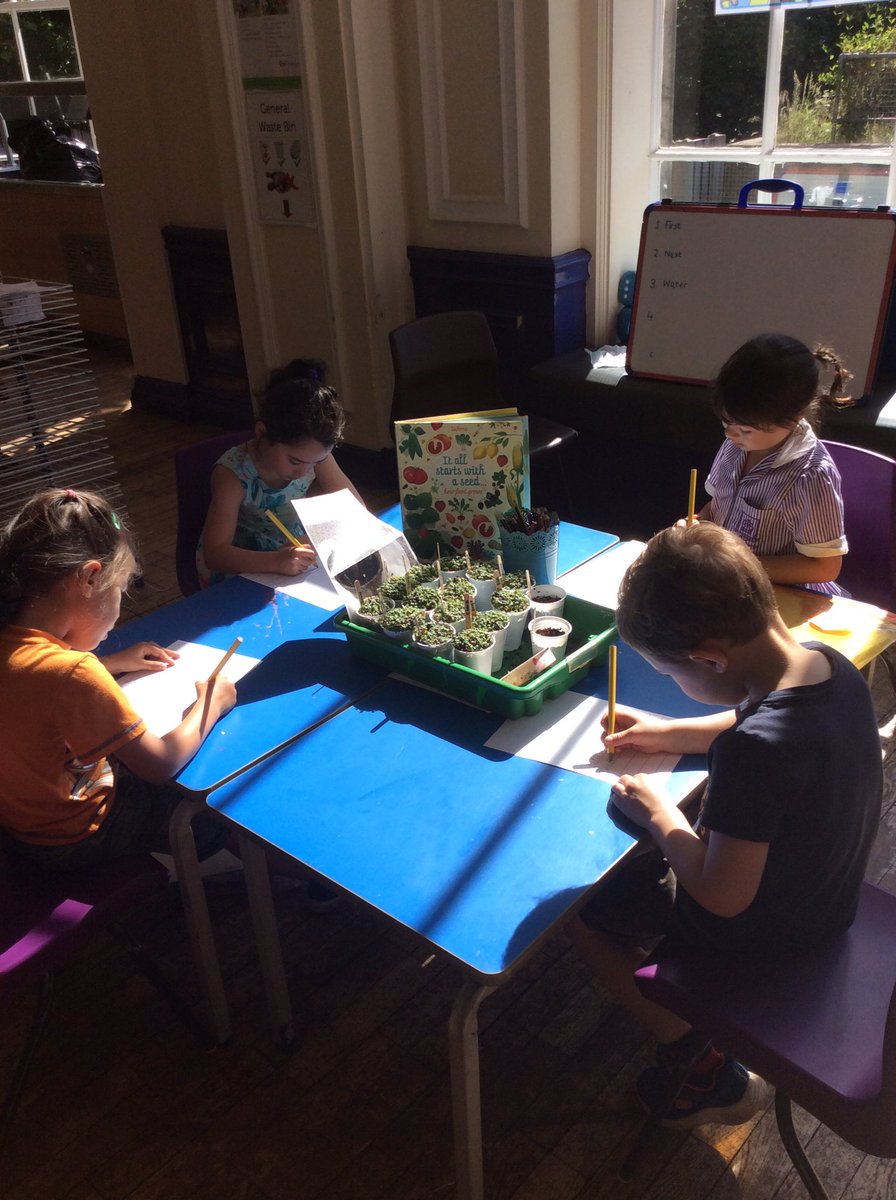 MoorlandsEYFS tweet media