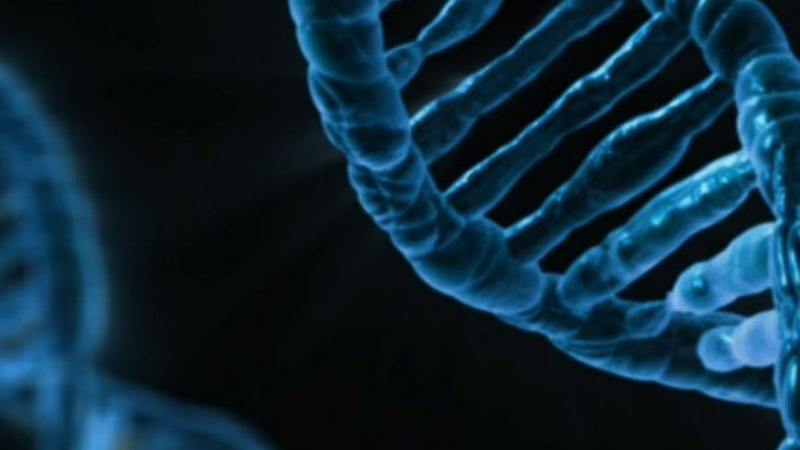 Reig Jofre tweet media