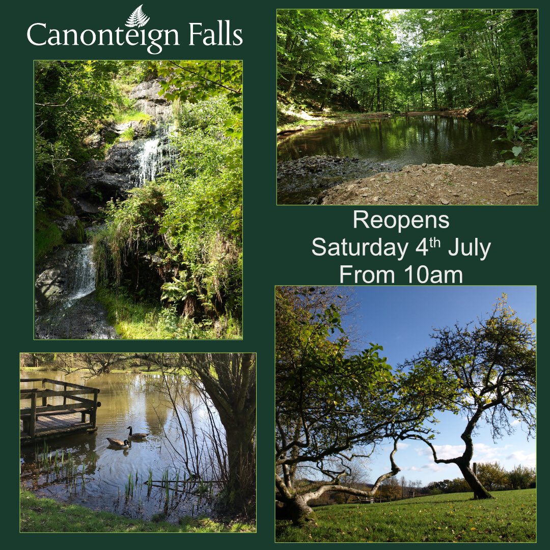Canonteign Falls has 90 acres for you all to explore (and a new one-way system to keep you safe) with 7 lakes, wetlands, woodland and of course our stunning waterfalls.
Reopens Saturday 4th July 
For more information visit canonteignfalls.co.uk 
<a href="/VisitDartmoor/">VisitDartmoor</a> <a href="/VisitDevon/">Visit Devon</a>
