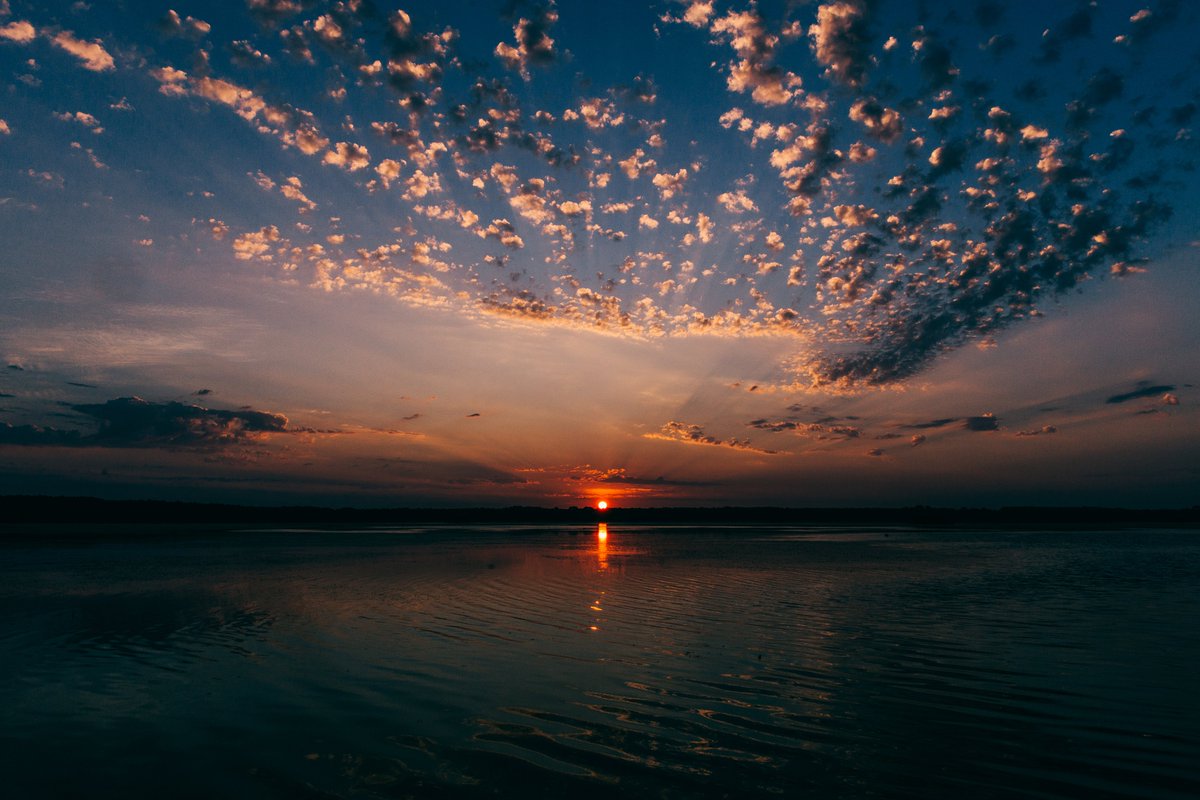 Les_Landes's tweet image. 4️⃣ photos qui vont vous donner envie de respirer l'air frais de nos grands espaces 🌊🌲

📸- merci à nos photographes @Enarrofilms / Baptiste Haugomat et @tripinwild 

#landes #jeudiphoto #CetEteJeVisiteLaFrance