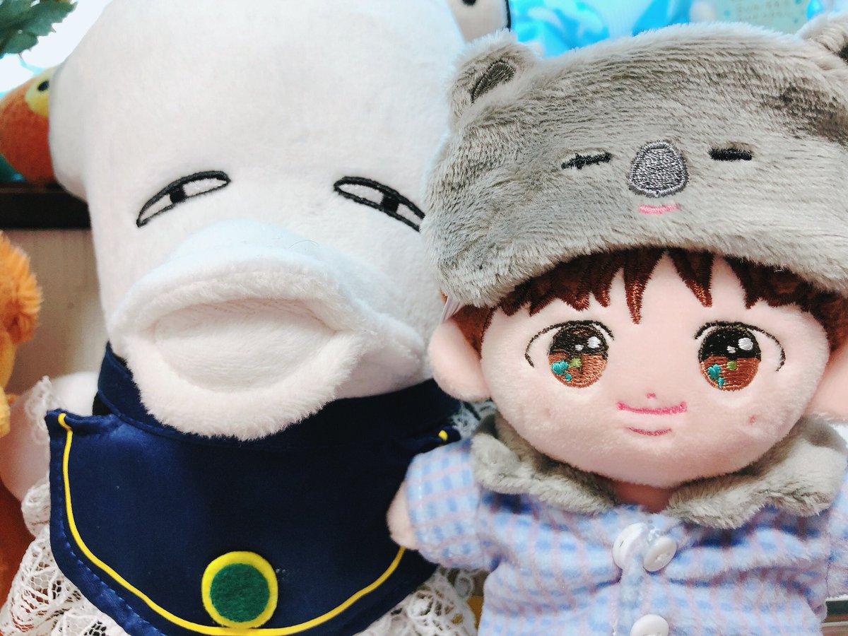 nya_chan_kawaii's tweet photo. 😭😭😭😭！！！
待ってたよ〜😭無事着いてくれてありがとう😭💜可愛い😭💜

ORIGOO(@origoo_store )さんありがとうございます🐨！無事届きました💜

@94vely_613  님  
무사히 도착했습니다!  
귀여운 불리 짱을 앞으로 많은 애정을 올립니다!🐨💜💜 https://t.co/WR4yGy9qgC
