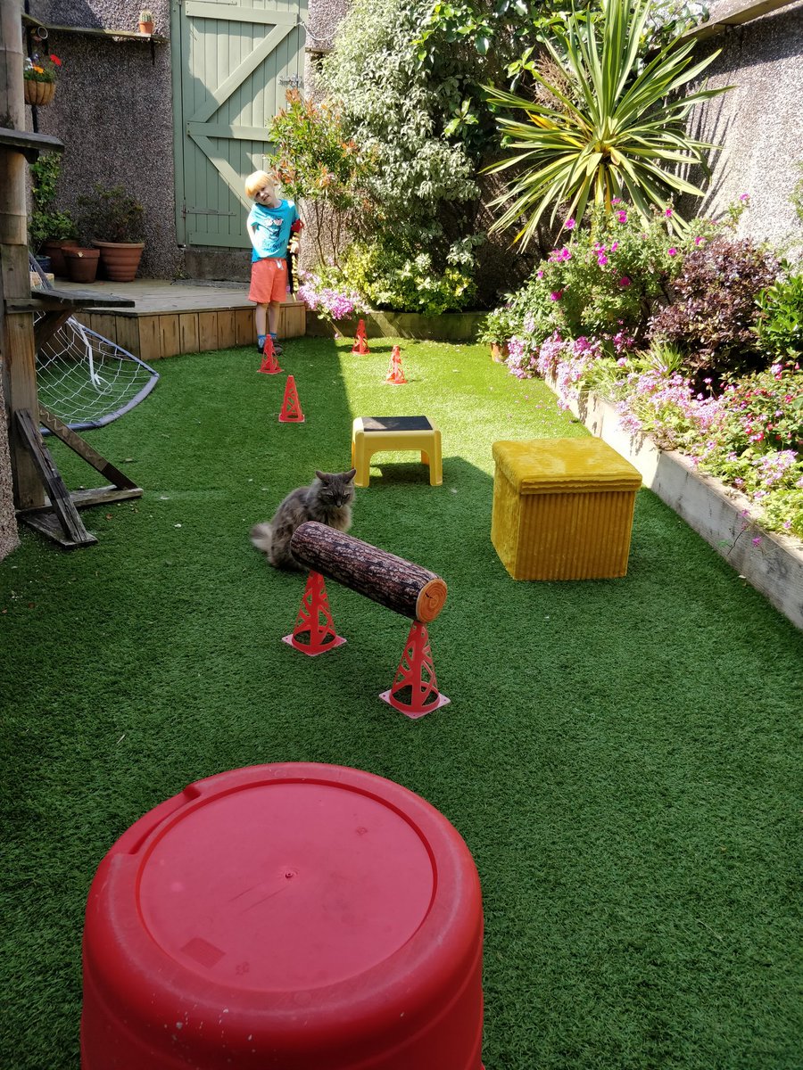 sezzacrezza's tweet photo. @southwalneyinf 60 second challenge- obstacle course! https://t.co/8zJYKKGp4k