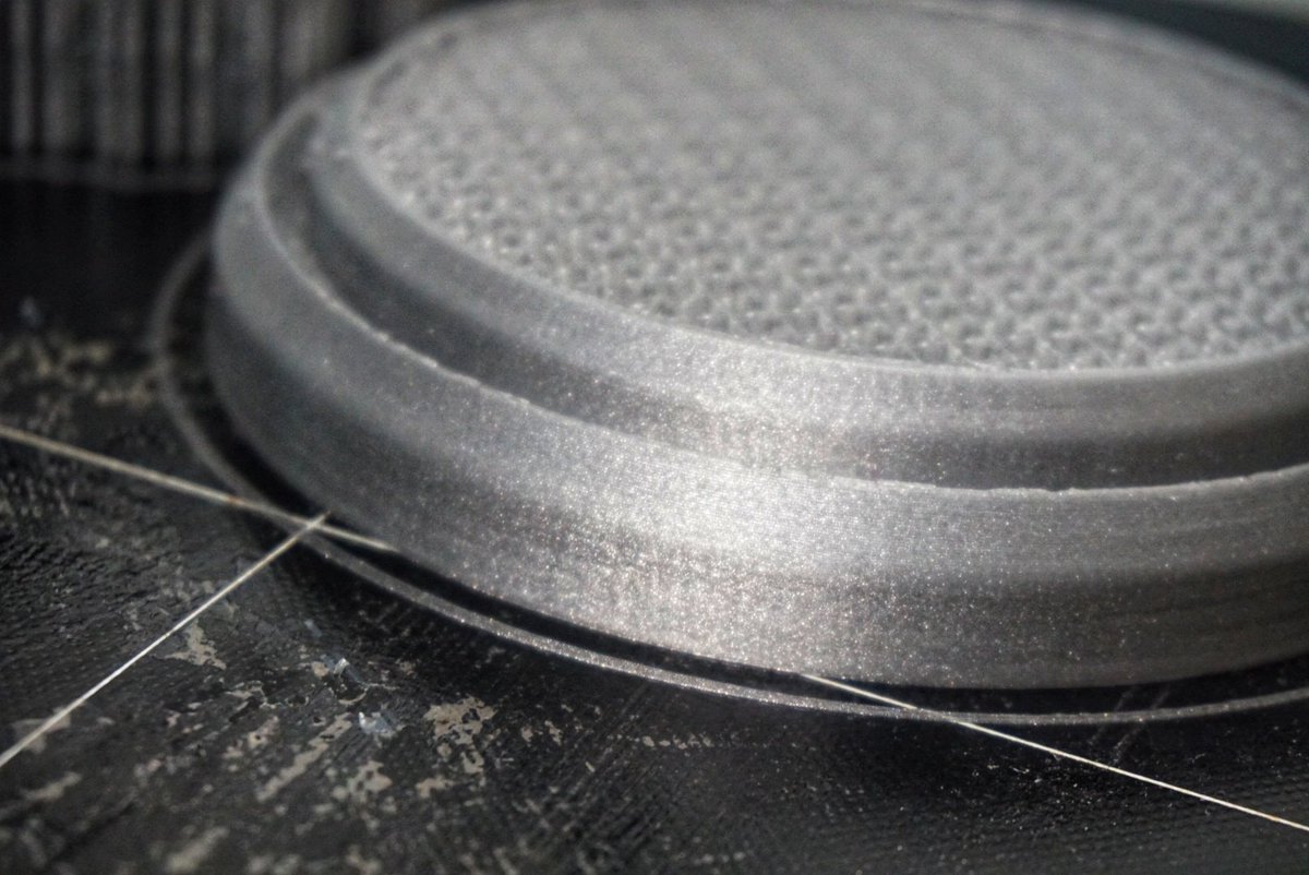 David Sciberras tweet media