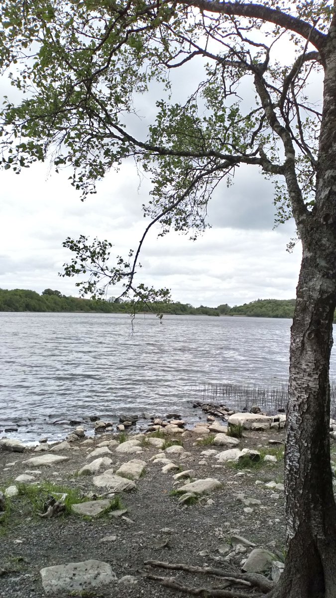 Bough bark
No quiver but dark
The arc has fire
Green veined the force
That holds the arrow 

© #AndreaCConnolly 
25.6.2020

#microprompt 

#TankaThursday 

#mpy #botaiku 
#photography by #AndreaCConnolly