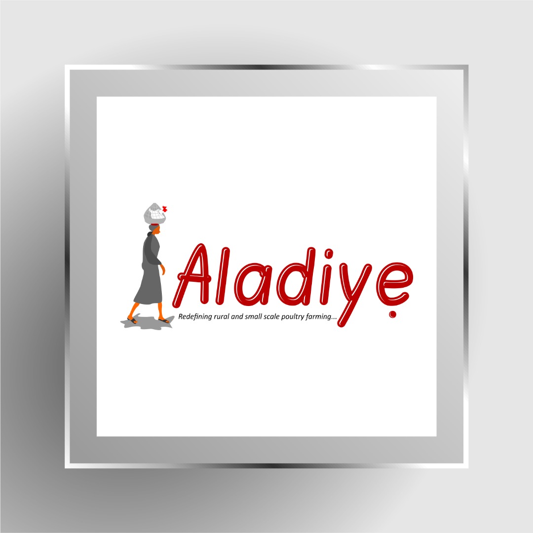 Aladiye Digital Impact tweet media