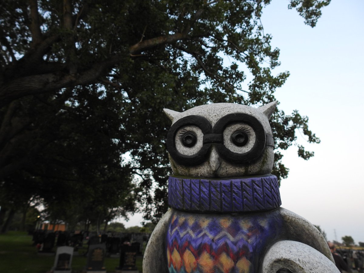 📸🎙Juliette W Gregson - Heritage Photos 🎙📸 tweet media