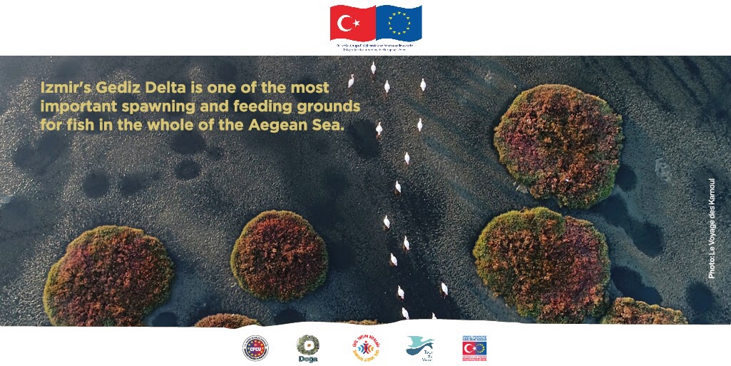 Doğa Network tweet media