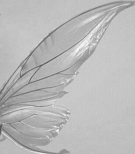 “kanatlarım yok ama uçuruma aşığım...”

#temelkaramollaoğlu #kanatakımı