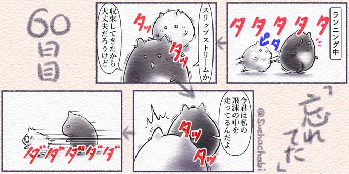 60日目 忘れてたランニングをするときは・・・#4コママンガ #4コマ漫画 #四コマ  #落書向上委員会 #ゑ仮記 #Explode_me 