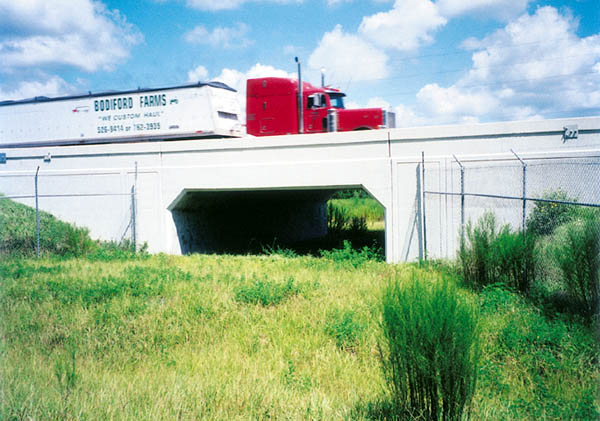 Wildtunnels in Nederland, Verenigde Staten, Spanje en België.