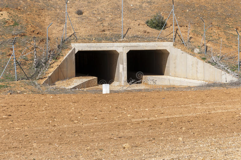 Wildtunnels in Nederland, Verenigde Staten, Spanje en België.