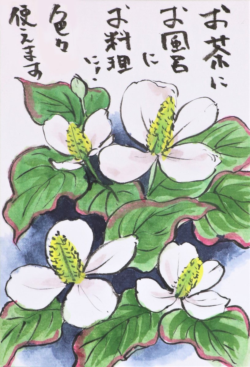 快適art絵手紙 A Twitter 初夏の白い花たち ヤマボウシは開きたてほやほやのを描いてい見ました ちょっとピンク入ってます Youtubeの描き方解説もあります 山法師 T Co N9b4iynpax ドクダミ T Co Curp3u8waj 絵手紙 快適絵手紙 イラスト 花 快適art絵手紙 A Twitter 初夏の白い花たち ヤマボウシは開きたてほやほやのを描いてい見ました ちょっとピンク入ってます Youtubeの描き方解説もあります 山法師 T Co N9b4iynpax ドクダミ T Co Curp3u8waj 絵手紙 快適絵手紙 イラスト 花