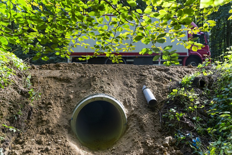 Wildtunnels in Nederland, Verenigde Staten, Spanje en België.