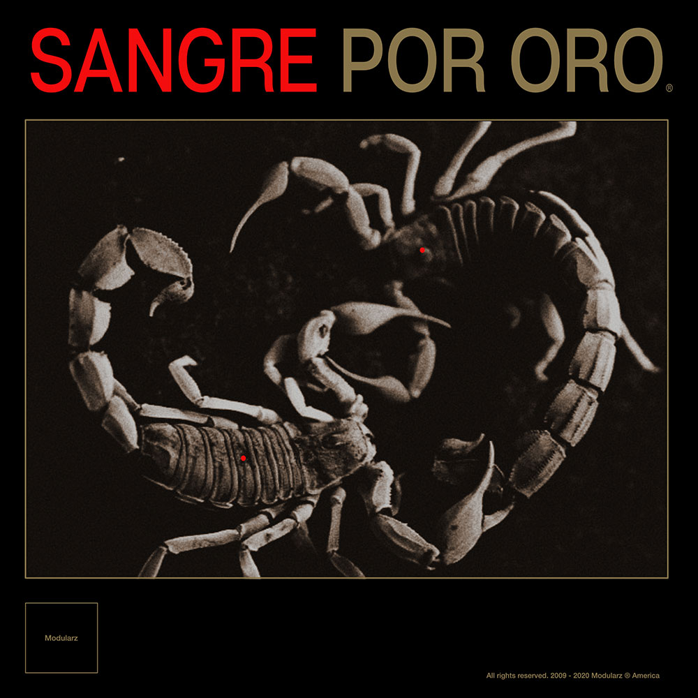 TheDeathTechno's tweet photo. DT:Review | Developer - Sangre Por Oro - MODULARZ46 https://t.co/QBbacxNHeC | #Developer @Modularz #Modularz #Techno #Review https://t.co/RizVL0ACYJ