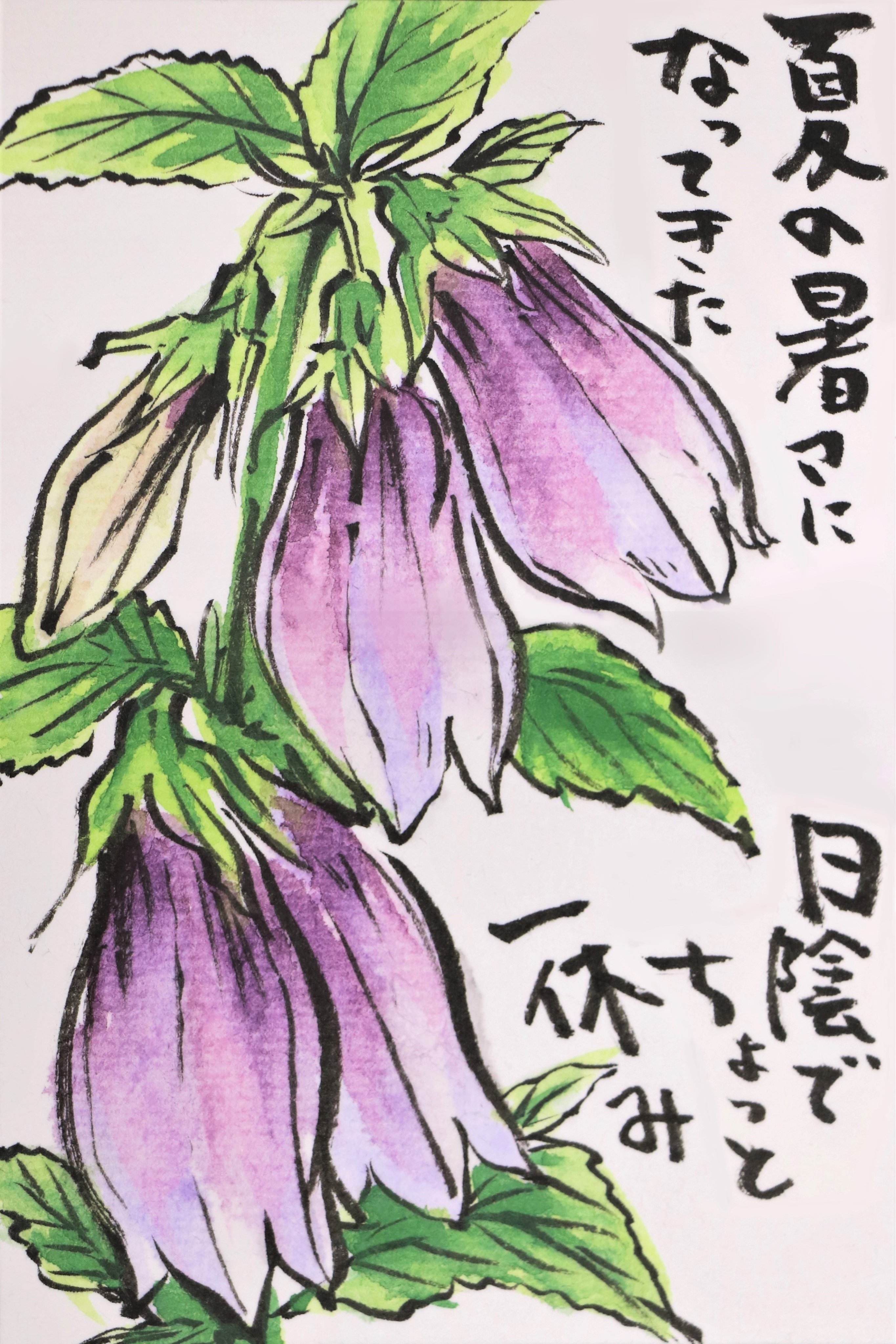 快適art絵手紙 最近描いた袋状 の花たち ホタルブクロは下向きに咲くんですね どちらも紫を選んで描きました Youtubeの描き方解説もあります カンパニュラ T Co Jepowljllc ホタルブクロ T Co Sg9dr1iygt 絵手紙 快適絵手紙