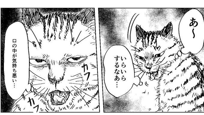 苦悩化け猫おはし小話集 を含むマンガ一覧 ツイコミ 仮