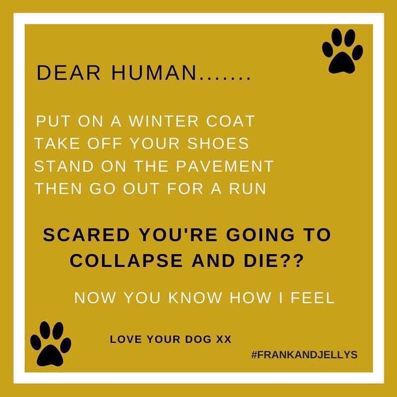 gsrescueelite's tweet photo. We really shouldn't need to keep repeating ourselves but we still see #dogs being walked and dogs being left in cars, if you are hot then they are very hot, no dog dies from missing a walk ❤ #germanshepherd #heatwaveuk #StayCool https://t.co/DOMzMNo1vP