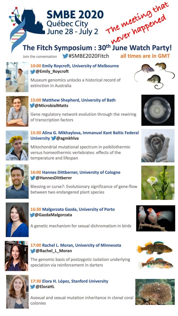 GBE (Genome Biology and Evolution) tweet media