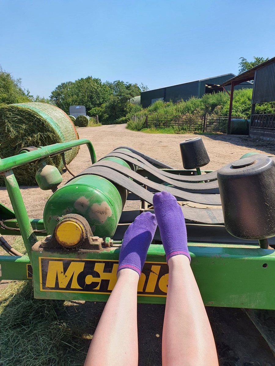 delyth fox-thomas tweet media