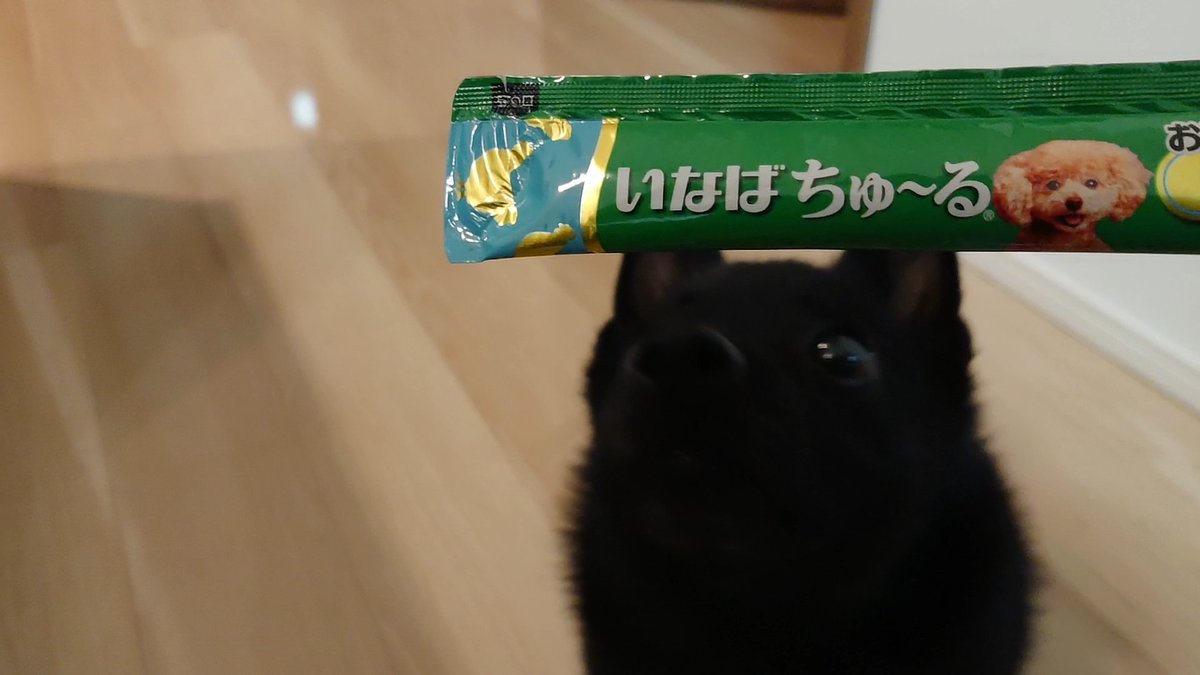 チュールメーカー チュールメーカー