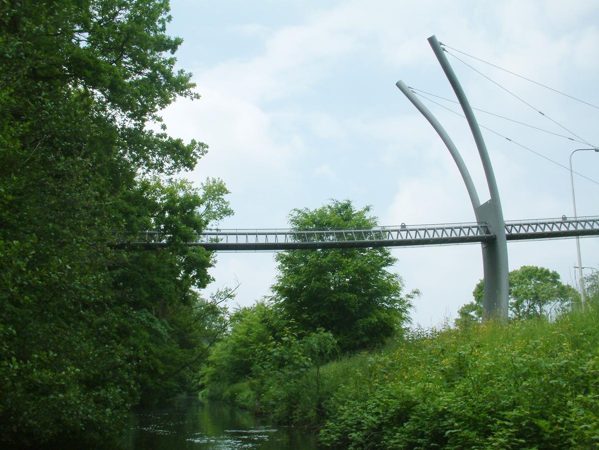 Eekhoornbruggen in Nederland (2 keer), Verenigde Staten en Duitsland.