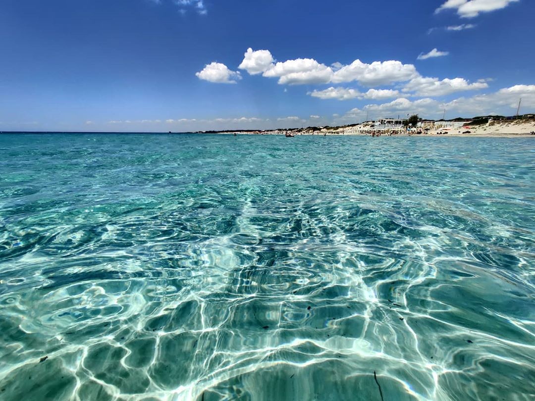 Madeintaranto's tweet photo. Voglia di lavorare saltami addosso 😅

Complimenti ad Andrea Carro

#Taranto #Puglia #Madeintaranto #Caraibidipuglia #weareinpuglia #Salento https://t.co/KXEGDrCJLd