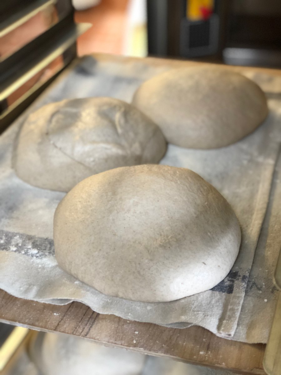 Our breads, pastries and desserts are handmade and freshly baked everyday for you to enjoy!