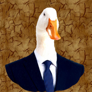 Stu ~Bat Country~ Nugent tweet media