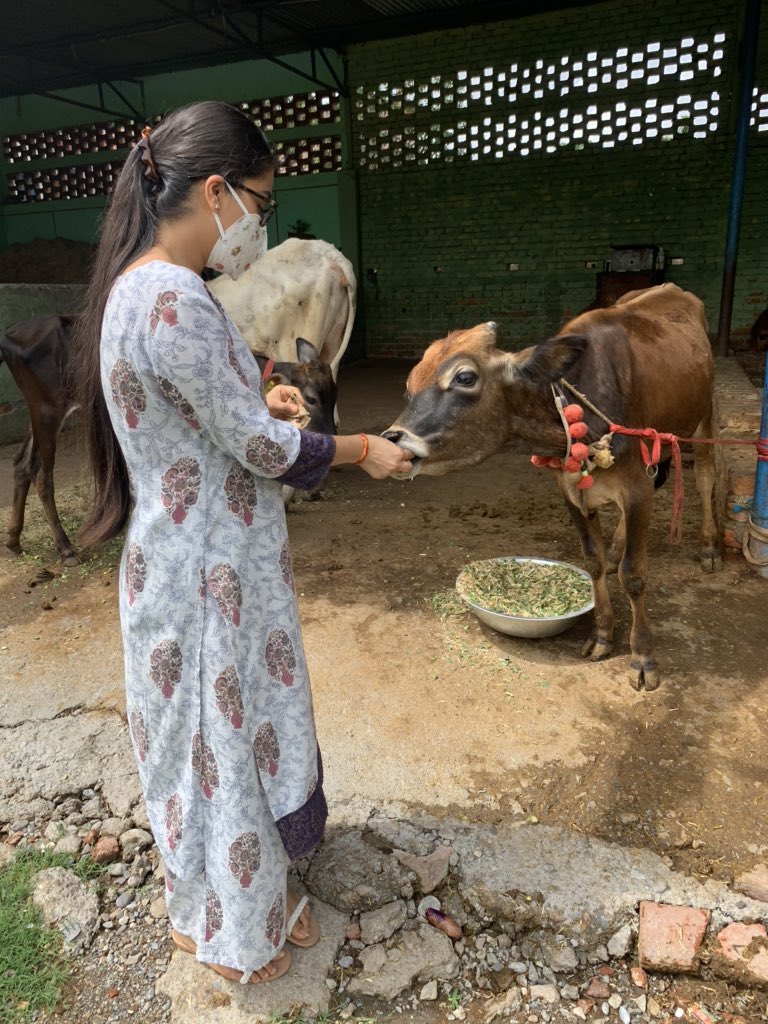 vidushi_nishank's tweet photo. Visited Gokul Gaushala which is home to cows who we rendered disabled due to accidents.They are taken care of, fed and treated properly. God bless to the owners who are doing such a wonderful job
#thursdaymorning #ThursdayMotivation #servinghumanityselflessly #humanityforward https://t.co/hOOrTxYIzt
