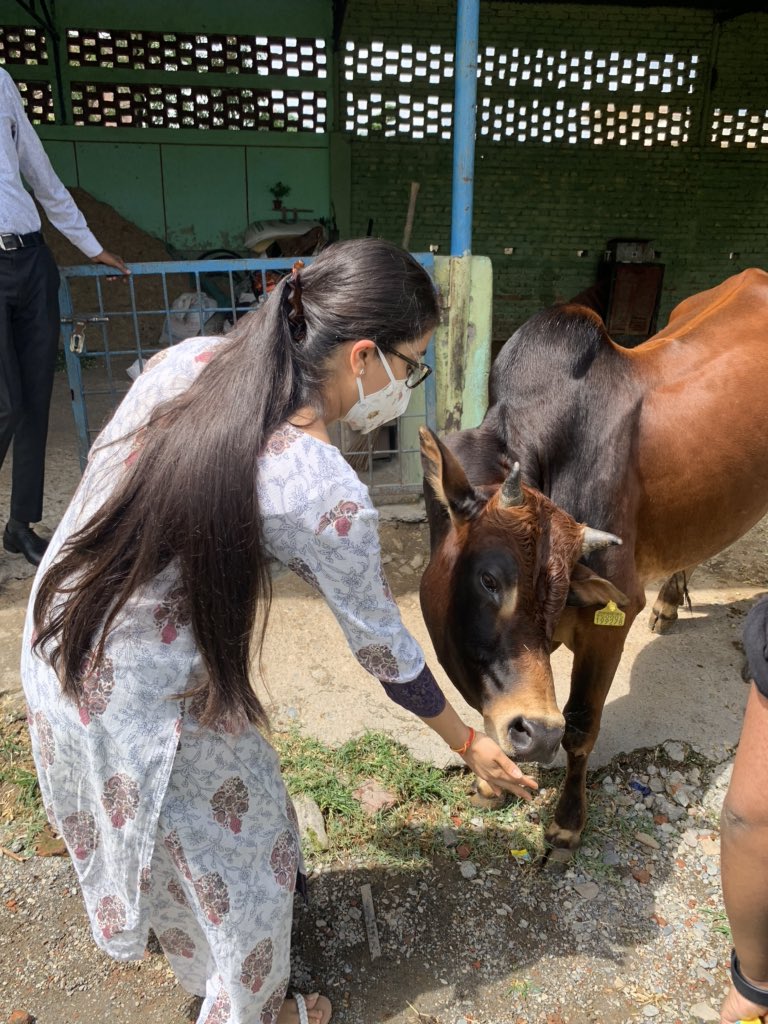 vidushi_nishank's tweet photo. Visited Gokul Gaushala which is home to cows who we rendered disabled due to accidents.They are taken care of, fed and treated properly. God bless to the owners who are doing such a wonderful job
#thursdaymorning #ThursdayMotivation #servinghumanityselflessly #humanityforward https://t.co/hOOrTxYIzt