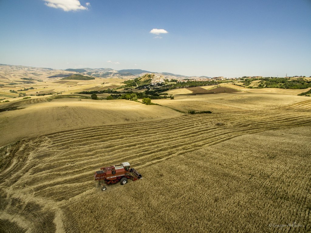 Scena di una #mietitura

#25giugno #Estate2020 #giuseppepalladino #puglia #sky #weareinpuglia #rocchettasantantonio #regionepuglia #gius01pal #castelliditalia #dronephotography #drone #djiphantom #djiphantom3