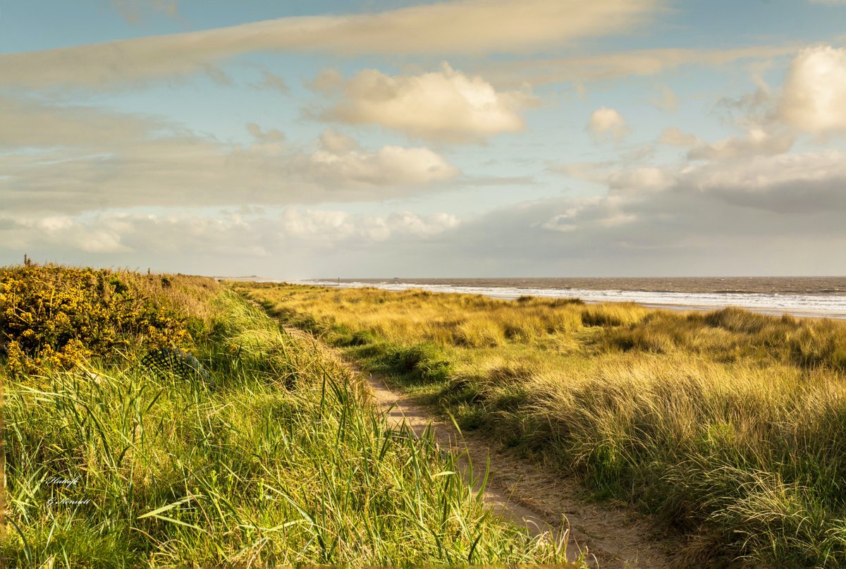EnglandPath's tweet photo. Beach is best!
📍 Sutton-on-Sea, East Lindsey, Lincolnshire
 #suttononsea #EastLindsey #Lincolnshire #wildswim #wildswimuk #englandcoastpath #englandcoast #englandpath #wilduk #heatwave #englandbeach @ThePhotoHour @EastLindseyDC @LincolnshireCC @BBCRadioLincs @LincsWildlife https://t.co/HNXBpBWQLu