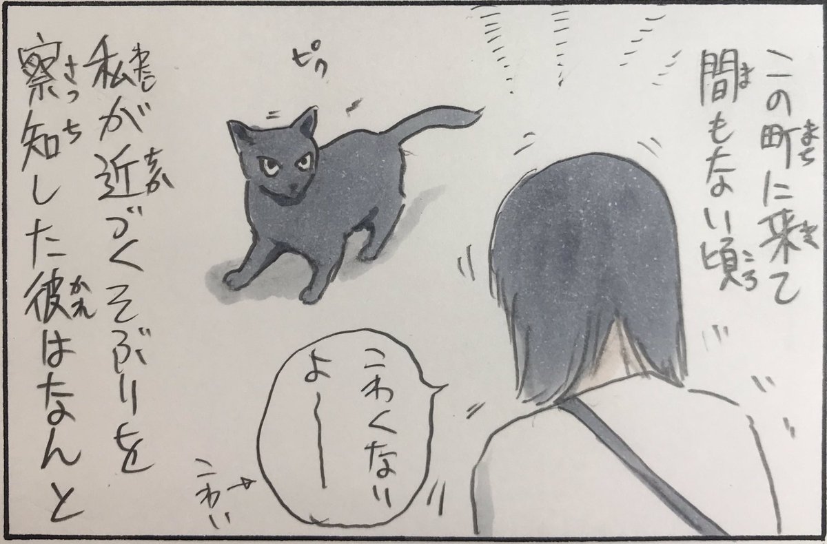 『ノラ猫ファイル④』 