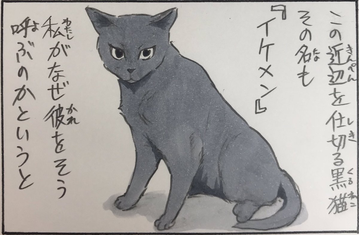 『ノラ猫ファイル④』 