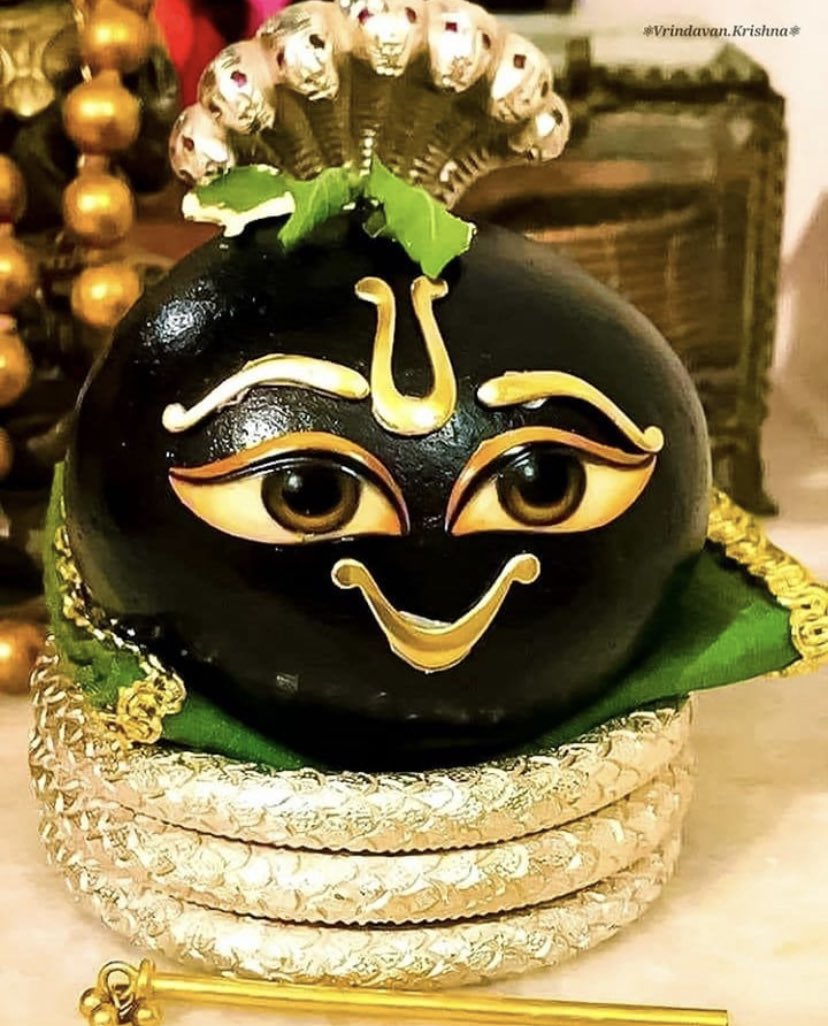 [THREAD] The significance of Shaligram PujanIn Sanatan Dharma we believe that God does not reside in any idol. Before we start worship, we request God to enter the idol and remain present during the duration of the pooja. This is called “awahan”.