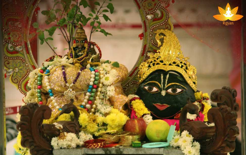 Shaligram shila is married to Tulsi mata on the day of Shukla Paksha Ekadashi of Kartik month, aka Prabodhini Ekadashi. Tulsi vivah is believed to bring happiness and prosperity.ॐ नमो नारायणाय 