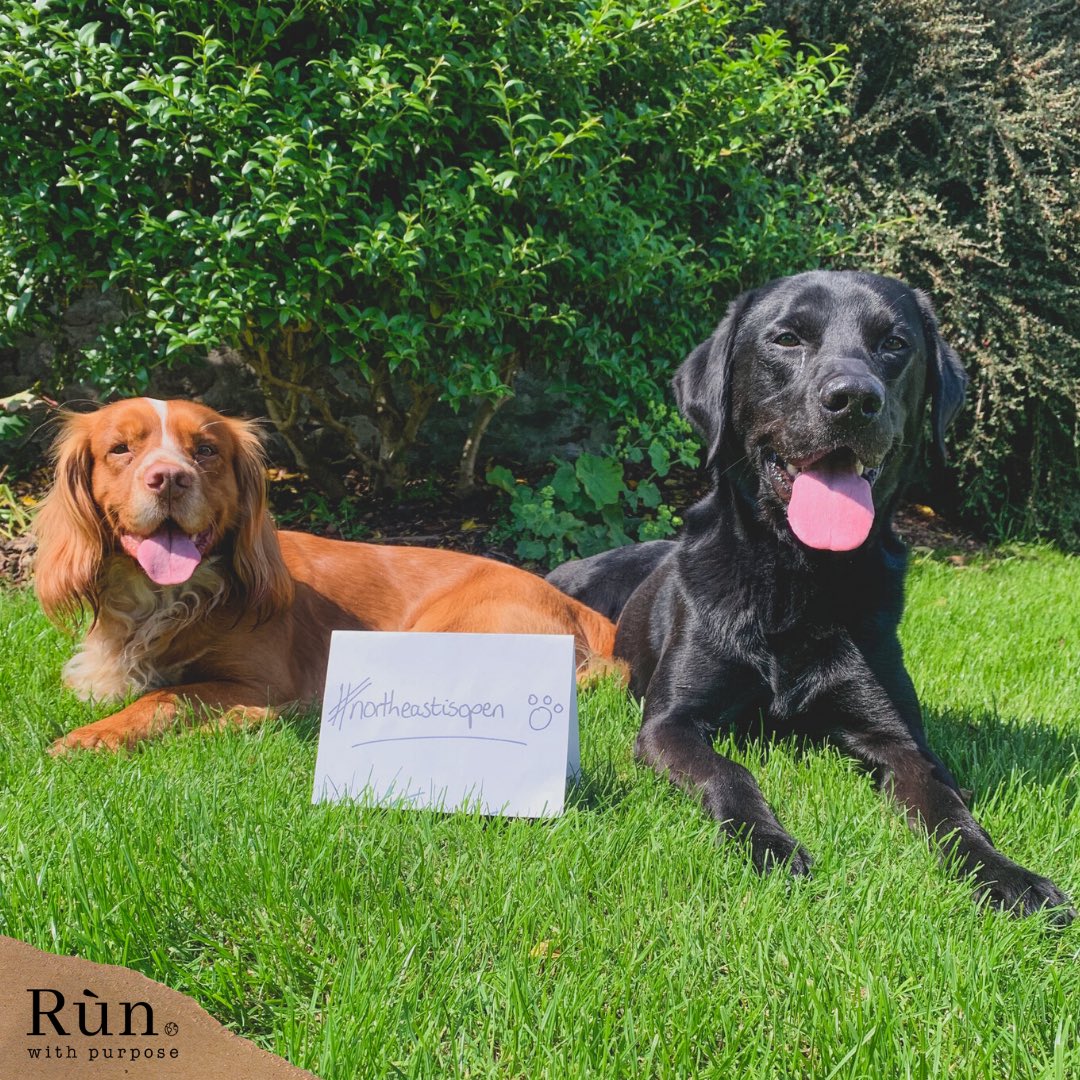 Rùn is joining Twitter!
Not only have we been open throughout lockdown, we LAUNCHED during! #northeastisopen #ecofriendly #coldpresseddogfood