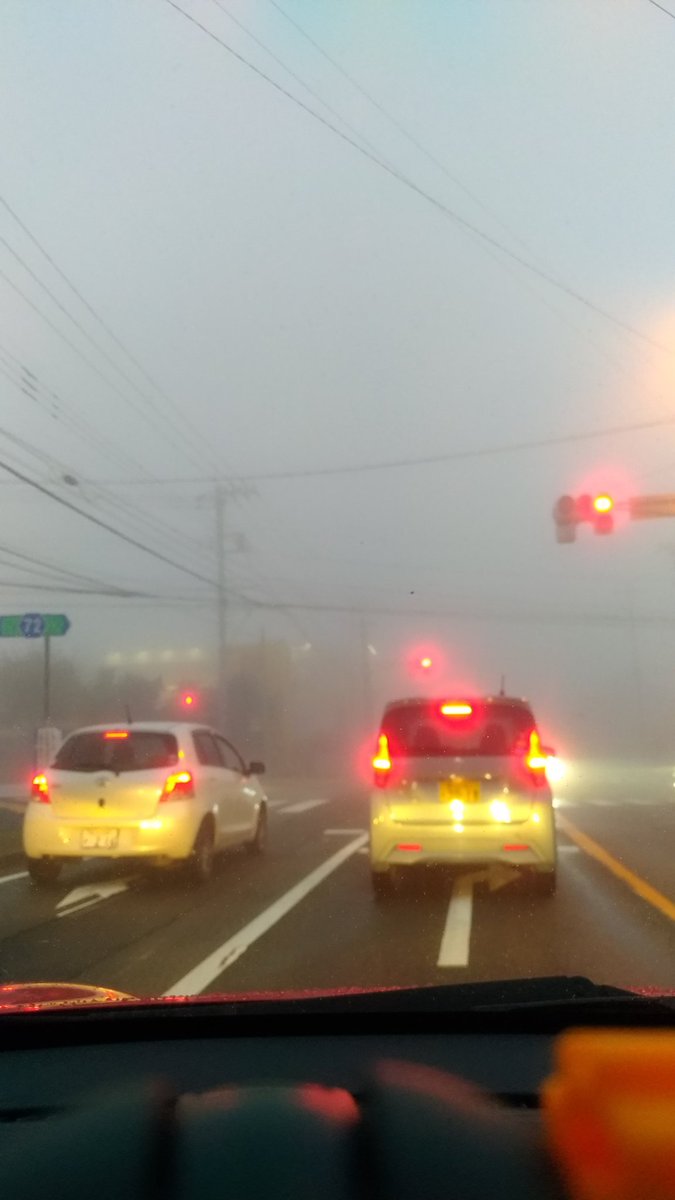 山の方に住んでるからこういう湿度が高い雨の日は霧が出るけど、いつもより濃いな