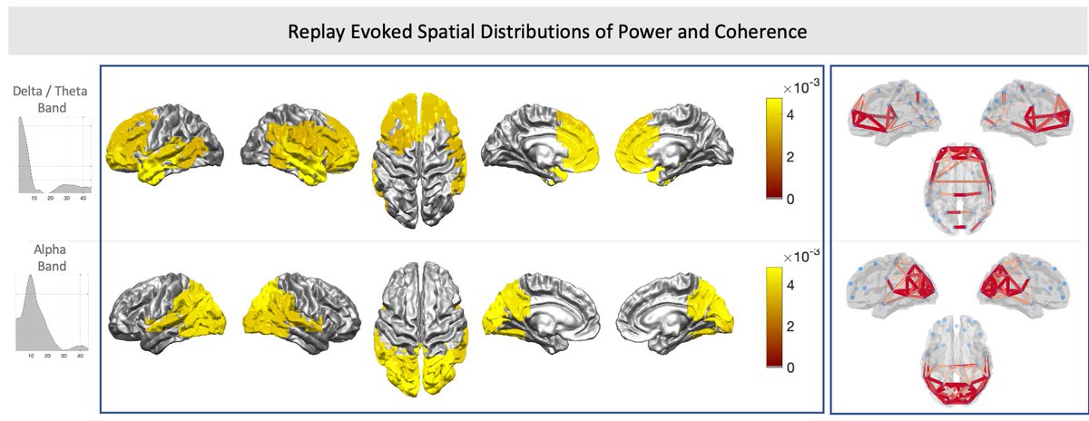 More specifically, these synchronised oscillations separated into two independent frequency bands: fronto-temporal DMN areas oscillated in synchrony in a low delta/theta band, while parietal PAN regions oscillated at the alpha band.