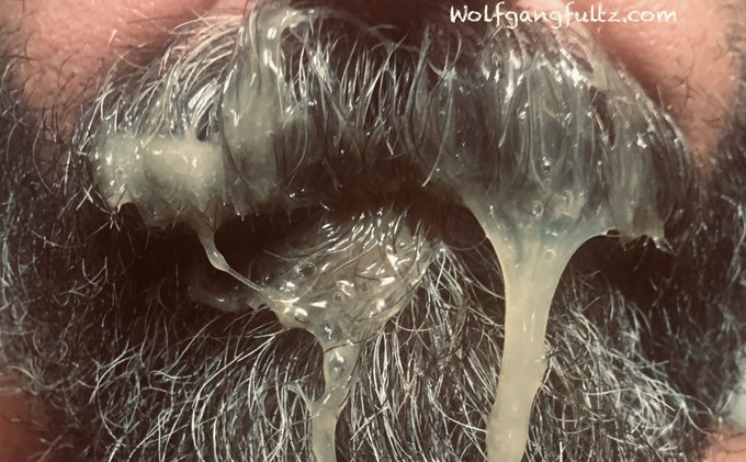 I love a thick load of cum in my whiskers. More @ https://t.co/jV2bQ5Pxqb #hairybears #hairygaybears