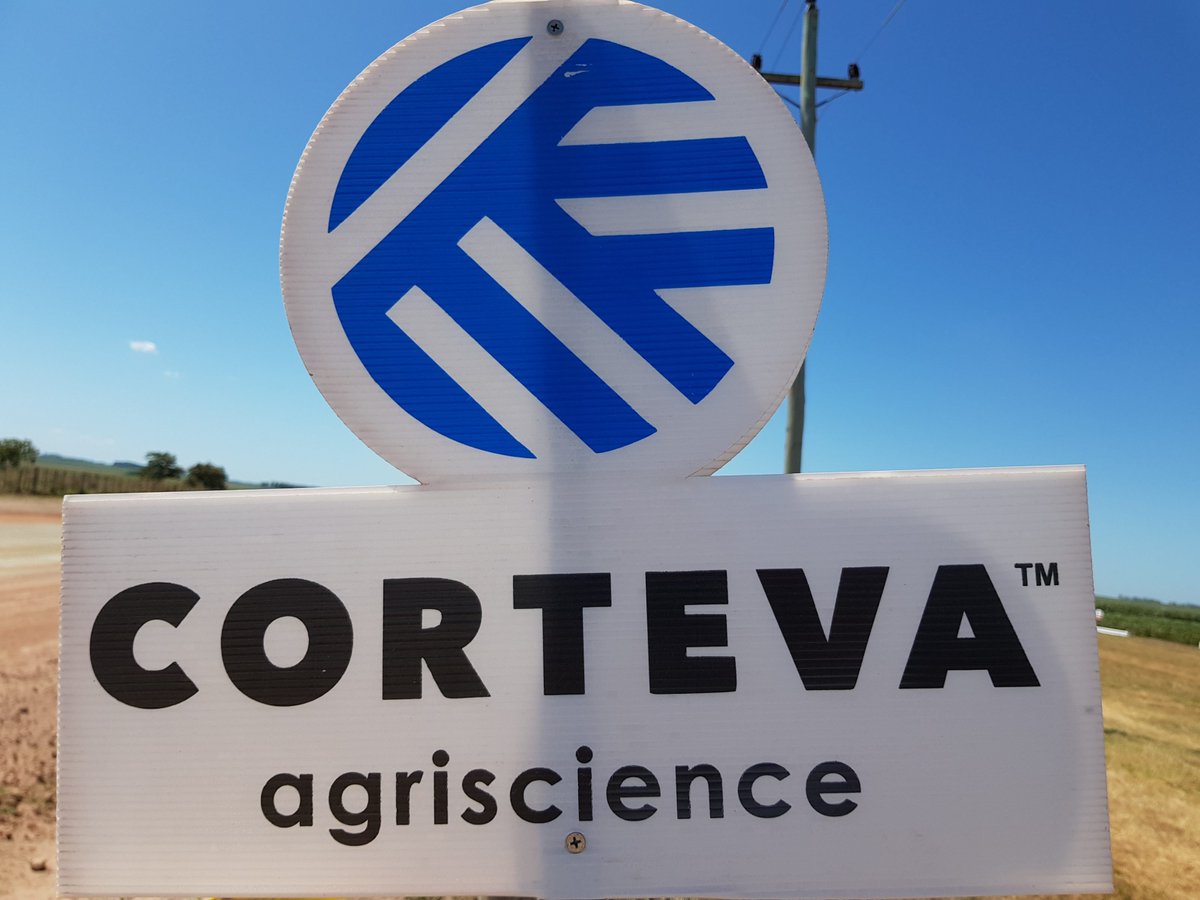 verdemediauy's tweet photo. Corteva lanza su primer híbrido de maíz Pioneer en Uruguay
https://t.co/0WaTZjQKrM https://t.co/GlKaq7uYXt