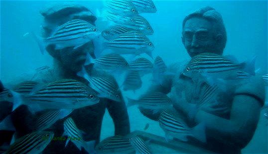 TThalpe's tweet photo. Sri Lanka's FIRST Underwater museum! A great attraction, here in Galle, ahead of International tourists arriving on August 1st. https://t.co/W5PKBEveQ6
#srilanka @tambavillasthalpe #invest #investing #galle #realestate #freehold #palmtrees #tropicalliving #tropicalrealestate https://t.co/NMXKI4vRvR