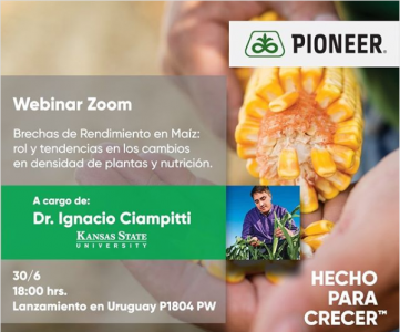 verdemediauy's tweet photo. Corteva lanza su primer híbrido de maíz Pioneer en Uruguay
https://t.co/0WaTZjQKrM https://t.co/GlKaq7uYXt