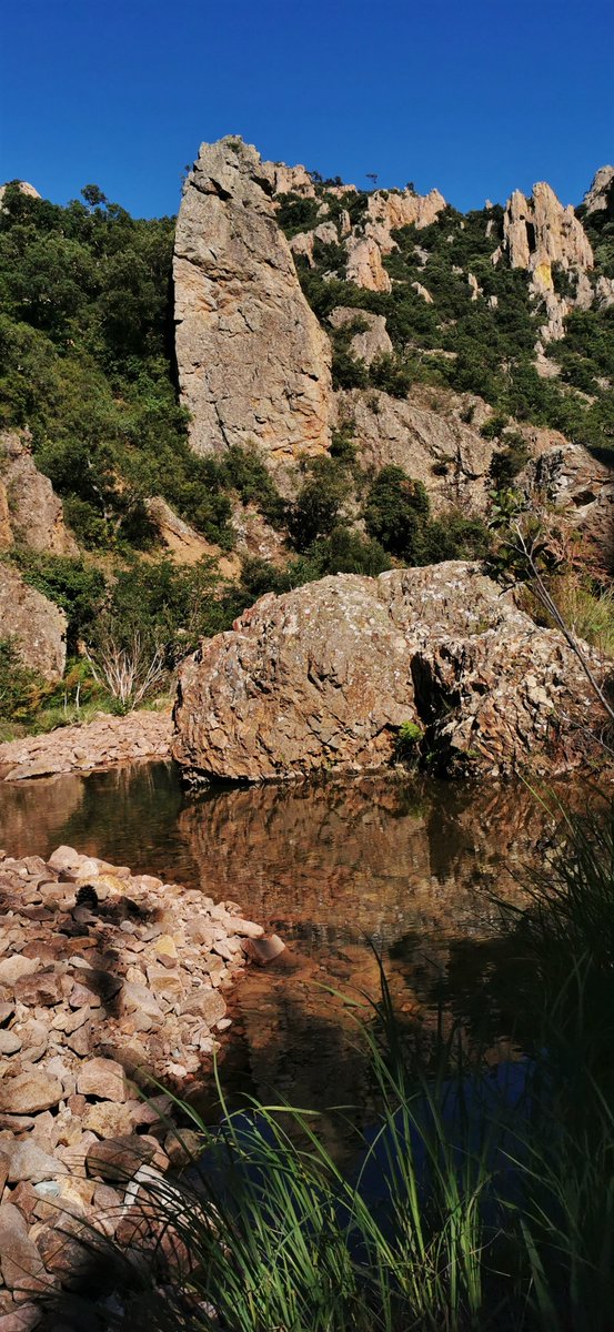 GarnierOriginal's tweet image. #BombPopDay 
#JeudiPhoto 
#ThursdayThoughts 
#BuenJueves