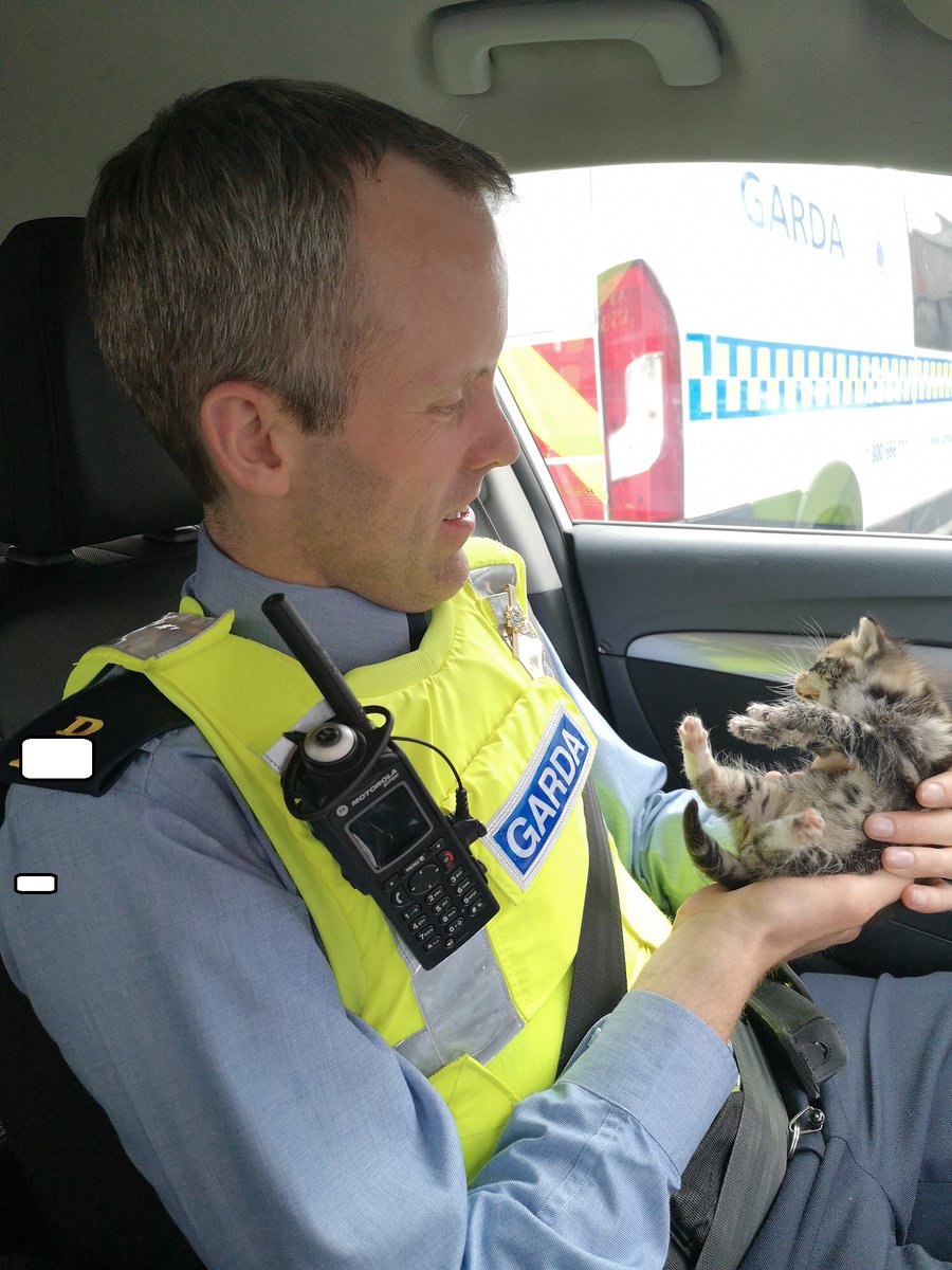 gardainfo's tweet image. This little Lady was handed into the Gardaí at the Bridewell in Dublin y/day, we are taking good care of her until she finds a new home
#HereToHelp
#InThisTogether