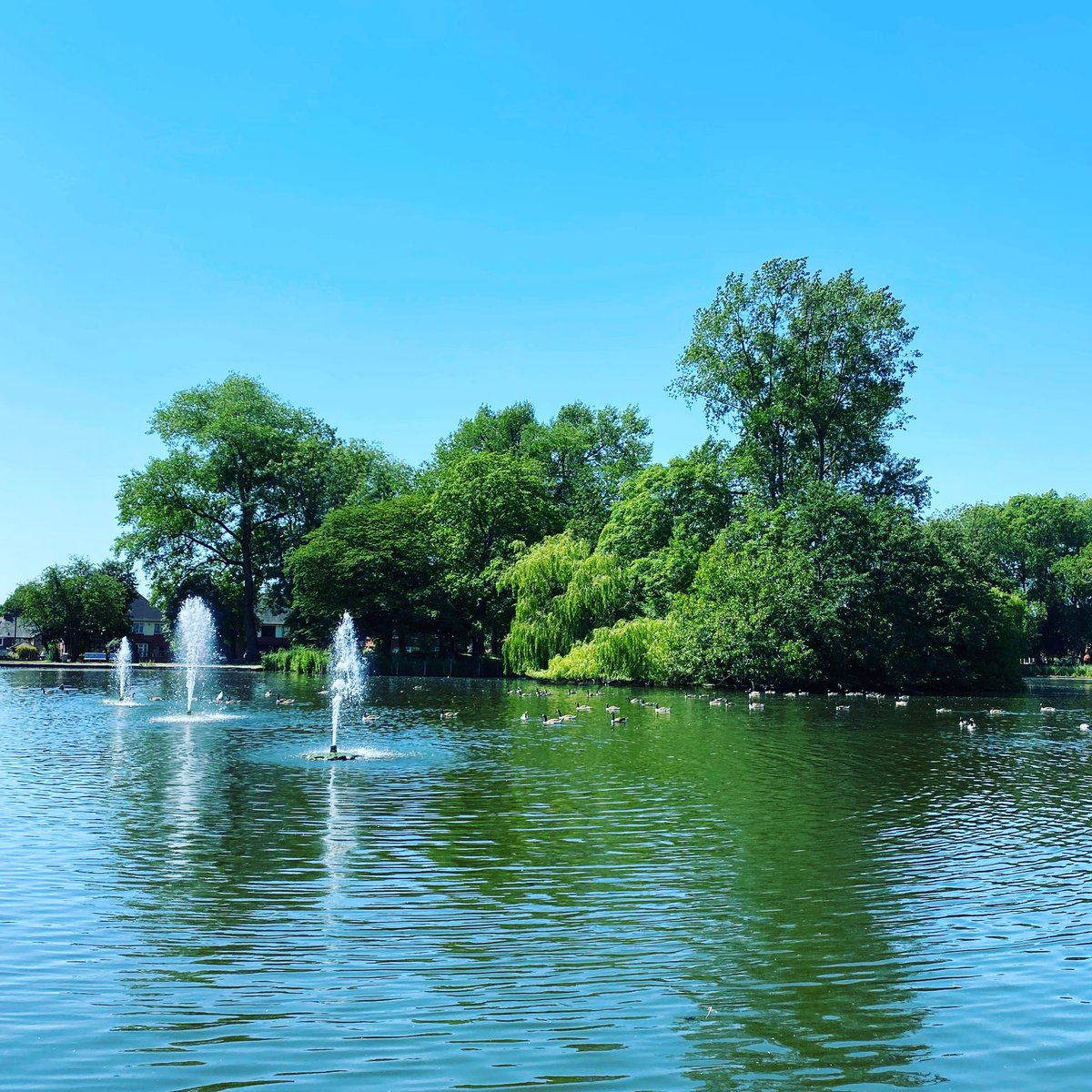 Lunchtime vibes 😎😎😎