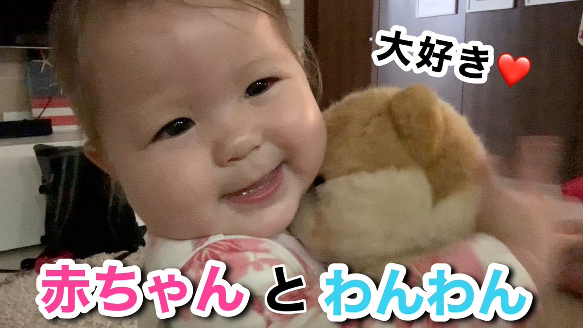 Mrs Cross 赤ちゃん ワンワン ワンワン って言えるようになりました 動画はこちら T Co 7zimkw1gfd 赤ちゃん ワンワン 犬 大好き 可愛い 子育て 育児 女の子 海外 国際結婚 アメリカ 留学 韓国 ママ 英語