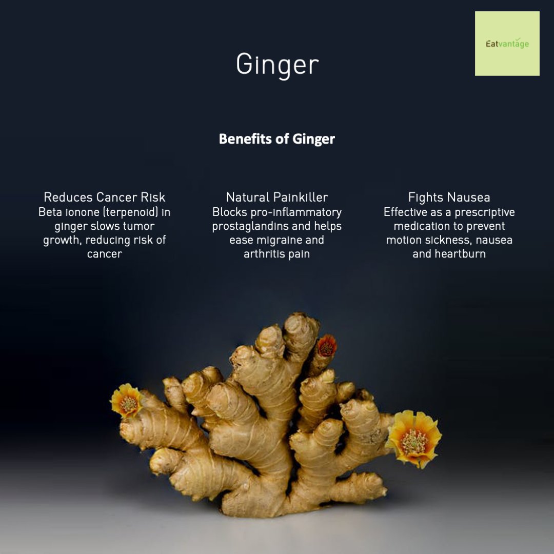 eatvantage's tweet photo. Do you tend to occasionally catch a cold? Does climate change leave you feeling ill? Or do you suffer from motion sickness and nausea? 
Learn about how #Ginger helps in these situations and beyond.

#gingertea #foodie #healthylifestyle #healthyfood #healthyliving #homeremedies https://t.co/Ilv8nQZ3I4
