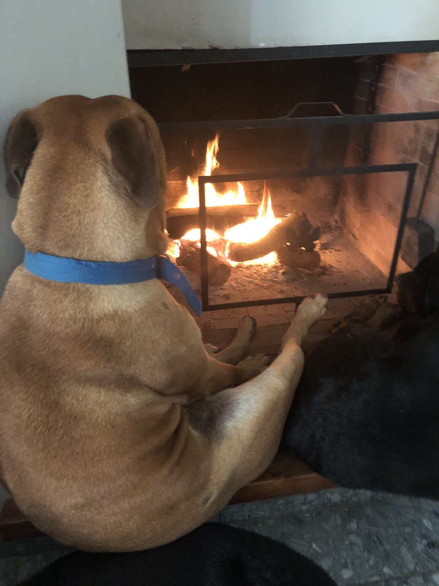 En cualquier momento le paso un mate